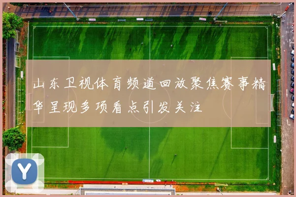 山东卫视体育频道回放聚焦赛事精华呈现多项看点引发关注