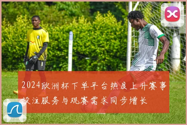 2024欧洲杯下单平台热度上升赛事投注服务与观赛需求同步增长